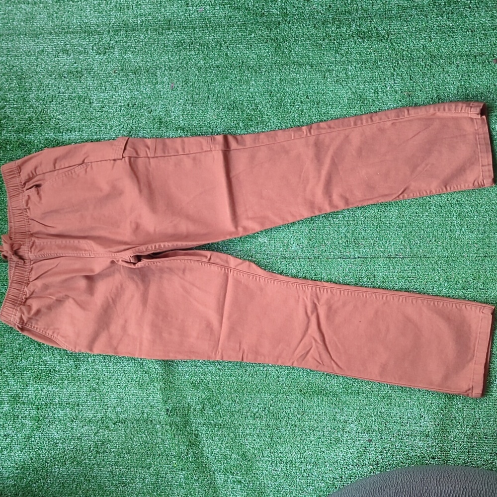 Katin Men's Pants in Rust